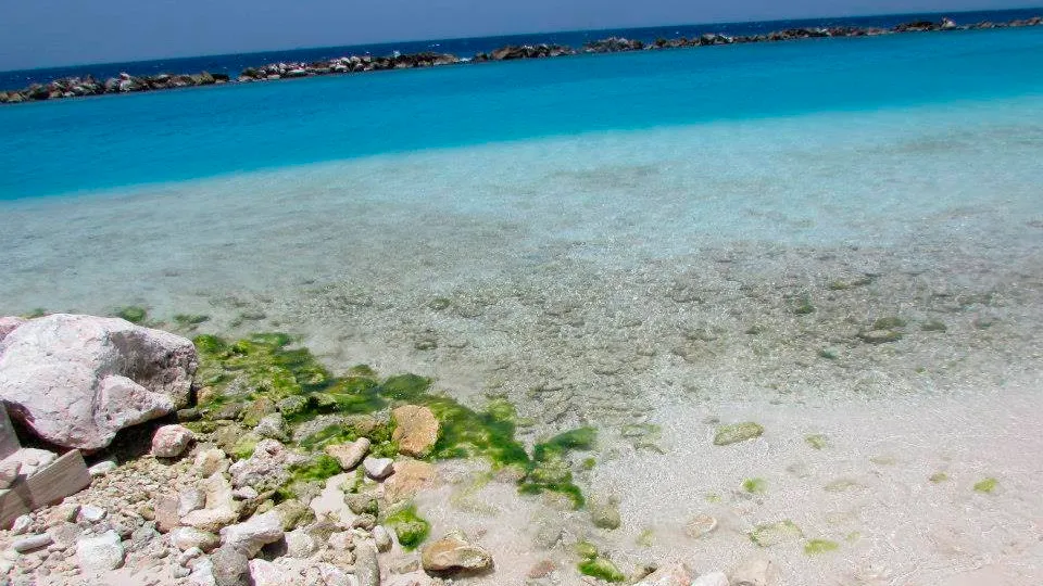 curaçao, curacao, viagem para curaçao, caribe, curaçao caribe, antilhas holandesas, hotel suscape, hotel veneto, hoteis em curaçao, hospedagem em curaçao, all inclusive em curaçao, hoteis all inclusive em curaçao, promoção de passagens aéreas, passagens aéreas, praias de curaçao, kenepa grandi, kenepa gandi, cas abao, port marie, kenepa chiki, lagoon, klein curaçao