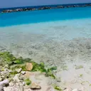 curaçao, curacao, viagem para curaçao, caribe, curaçao caribe, antilhas holandesas, hotel suscape, hotel veneto, hoteis em curaçao, hospedagem em curaçao, all inclusive em curaçao, hoteis all inclusive em curaçao, promoção de passagens aéreas, passagens aéreas, praias de curaçao, kenepa grandi, kenepa gandi, cas abao, port marie, kenepa chiki, lagoon, klein curaçao